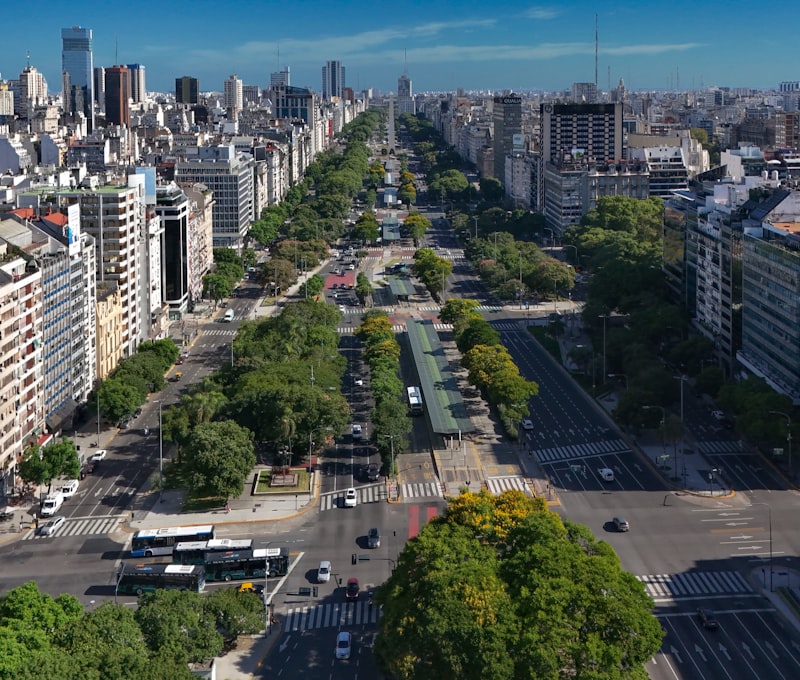 Buenos Aires Stadtviertel Palermo mit bluehenden Jacaranda-Baeumen