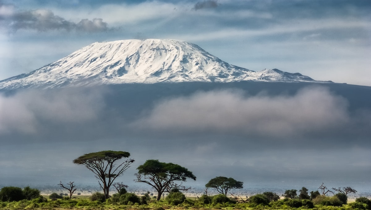 Beste Reisezeit fuer Kenia: Grosse Migration, Straende und Budget-Monate
