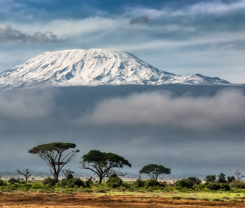 Elefanten in Amboseli mit dem Kilimandscharo im Morgengrauen dahinter