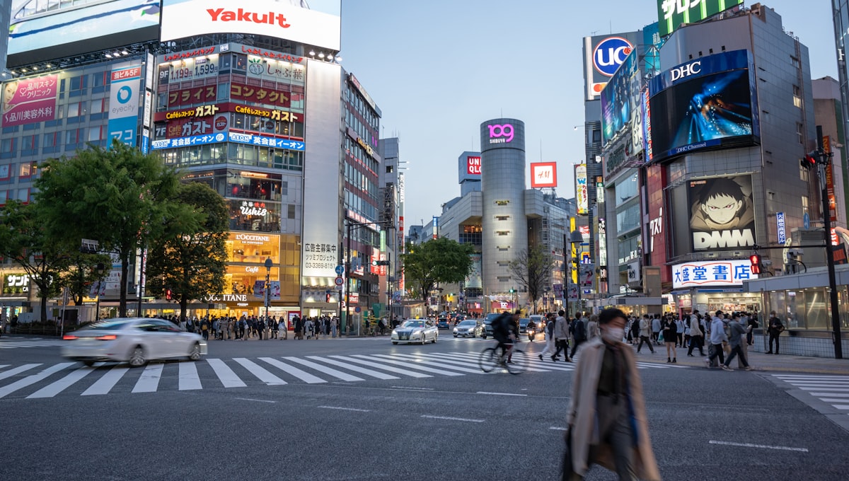 people walking on pedestrian lane during daytime