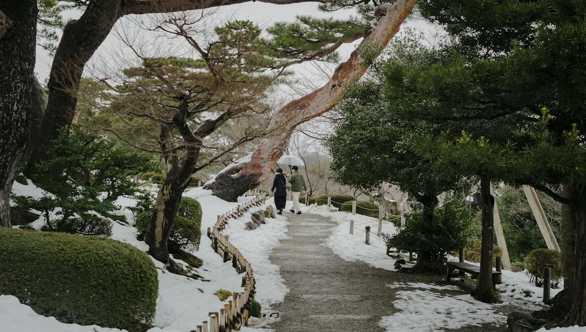 Hidden Gems in Japan: 6 Places Beyond Tokyo and Kyoto