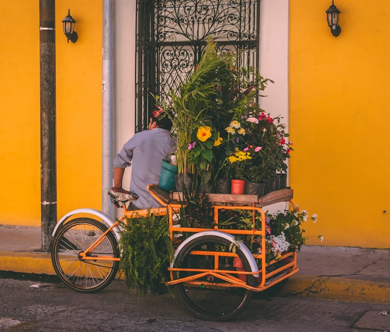 Colorful street in Oaxaca's historic center with cobblestones and traditional yellow buildings decorated with painted murals