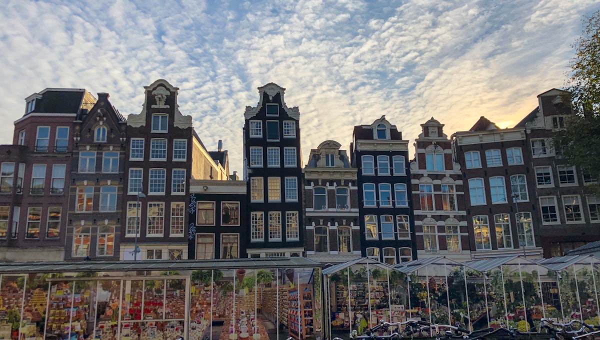 Colourful market stalls at the Albert Cuyp Market in the De Pijp neighbourhood