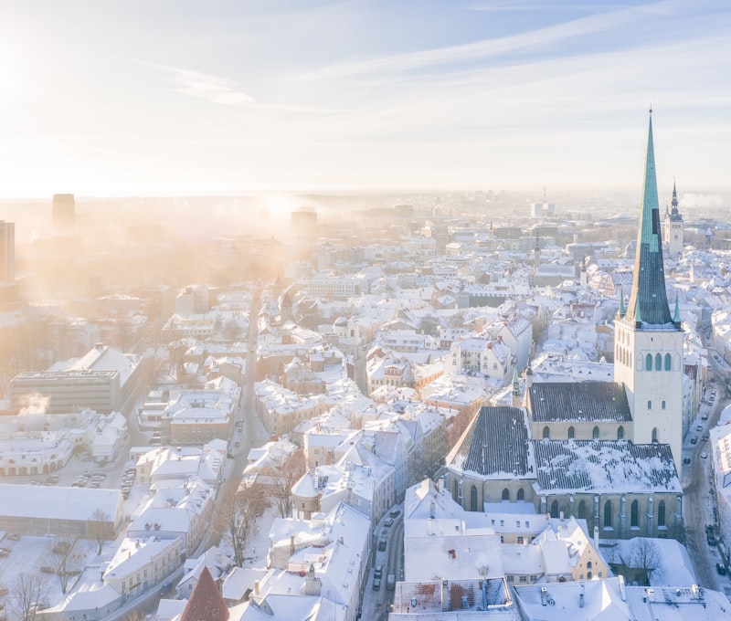 Tallinns Altstadtsilhouette mit gotischen TĂŒrmen und der Alexander-Newski-Kathedrale